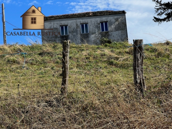 2 casas con finca (ref: 214) Rebajada: 39.500 €