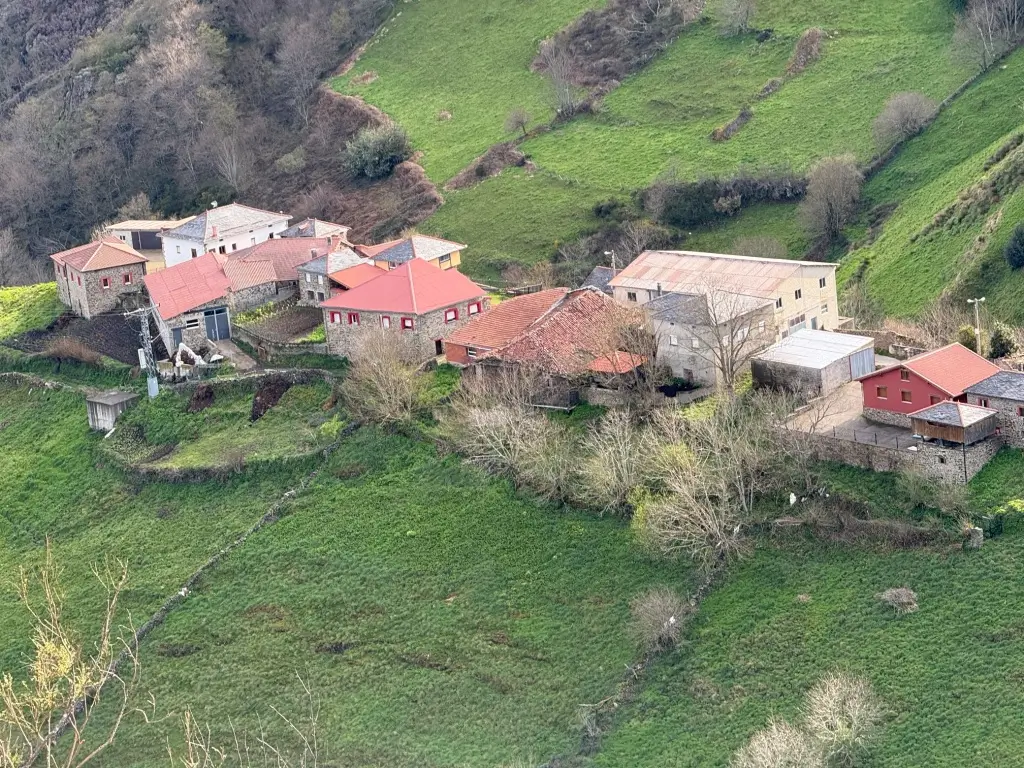 Casa en el monte en Cangas de Narcea (ref: 244)