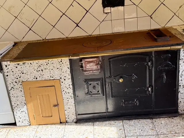 Casa en el monte en Cangas de Narcea (ref: 244)