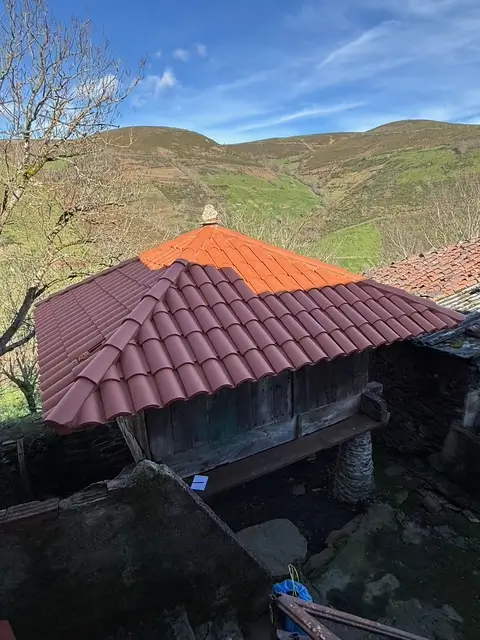Casa en el monte en Cangas de Narcea (ref: 244)