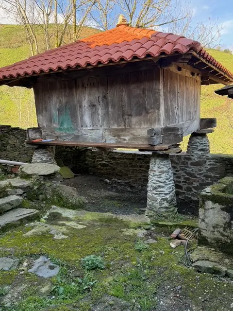 Casa en el monte en Cangas de Narcea (ref: 244)