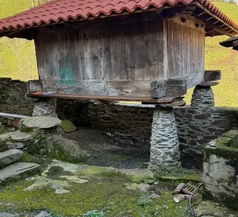 Casa en el monte en Cangas de Narcea (ref: 244)