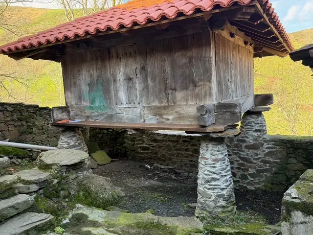 Casa en el monte en Cangas de Narcea (ref: 244)