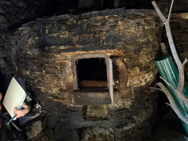 Casa en el monte en Cangas de Narcea (ref: 244)