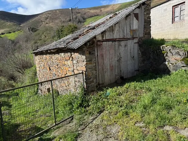 Casa en el monte en Cangas de Narcea (ref: 244)