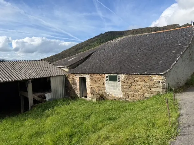 Casa de piedra con finca (ref: 247)