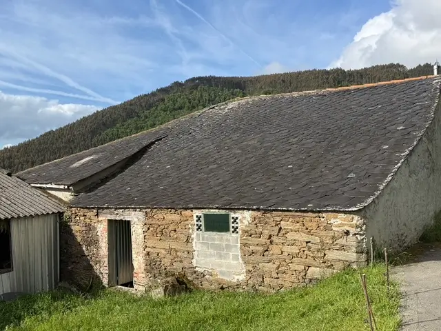 Casa de piedra con finca (ref: 247)