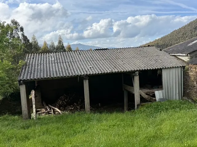 Casa de piedra con finca (ref: 247)