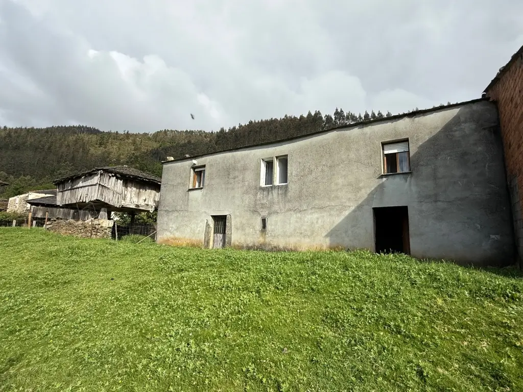 Casa de piedra con finca (ref: 247)