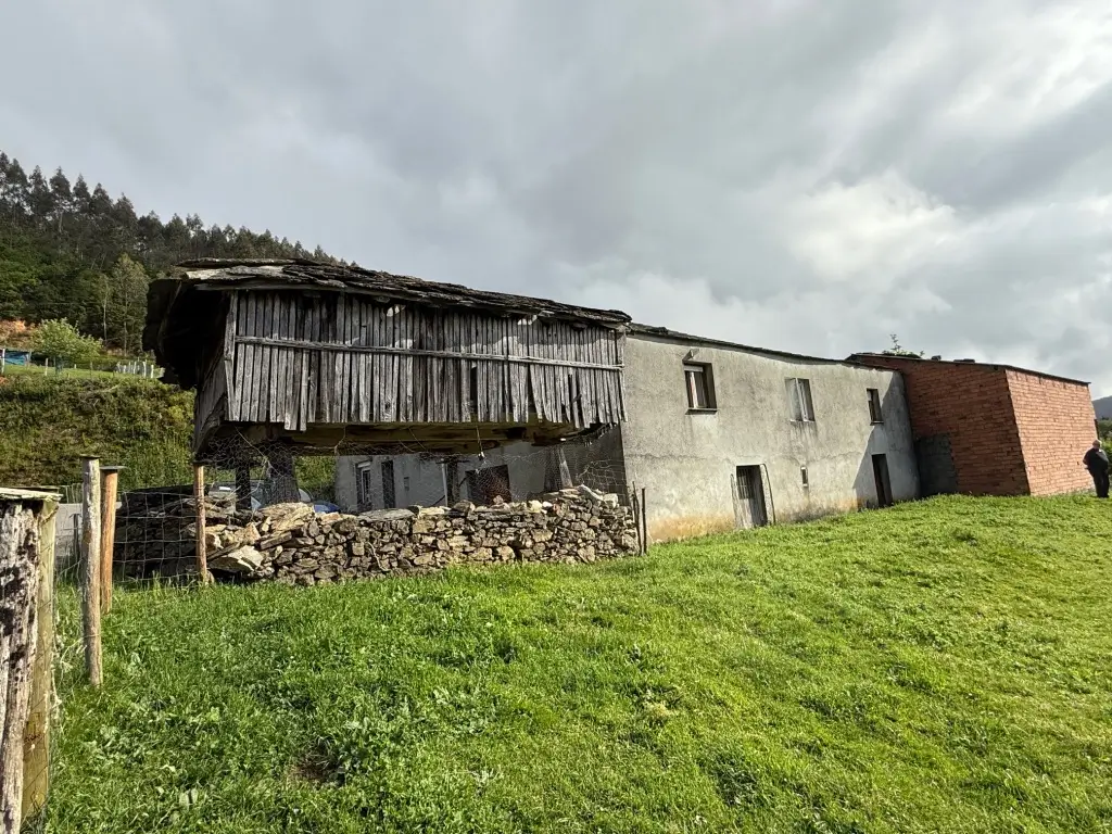 Casa de piedra con finca (ref: 247)
