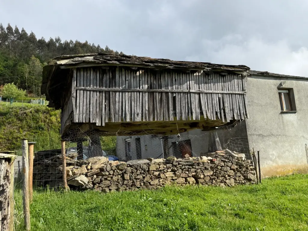 Casa de piedra con finca (ref: 247)