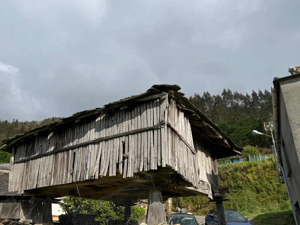 Casa de piedra con finca (ref: 247)