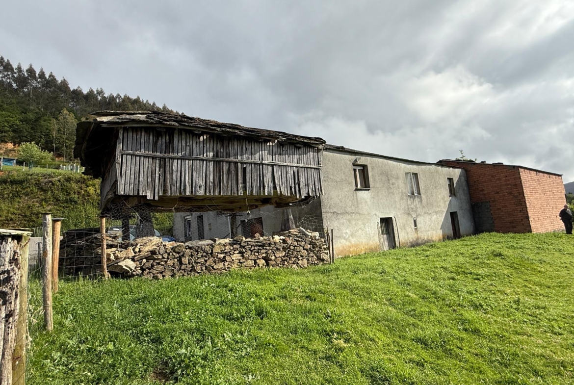 Casa de piedra con finca (ref: 247)