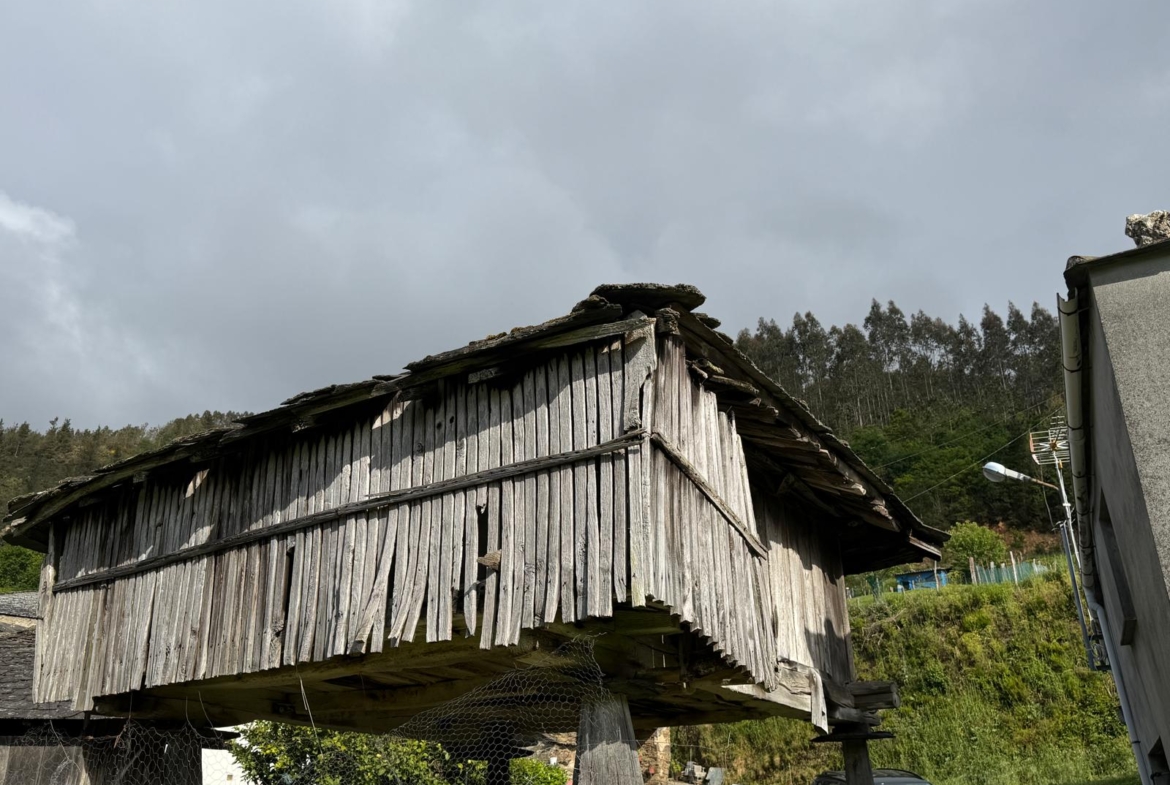 Casa de piedra con finca (ref: 247)