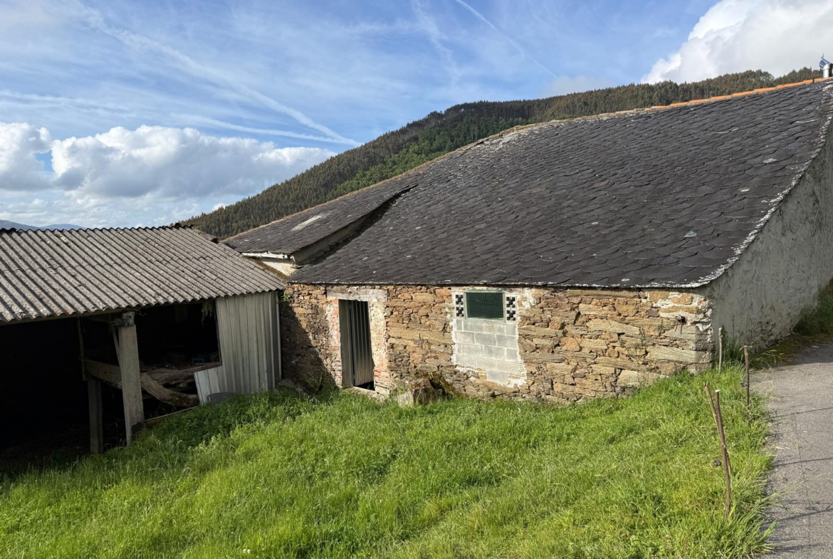 Casa de piedra con finca (ref: 247)