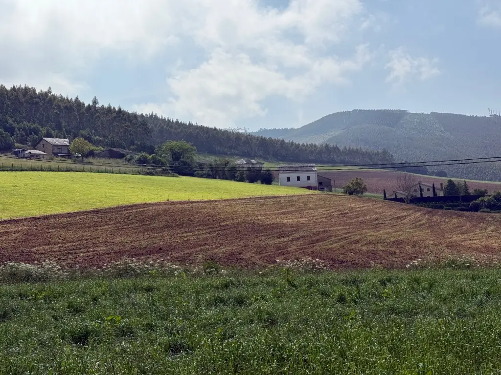 Casa de piedra con finca (ref: 248)