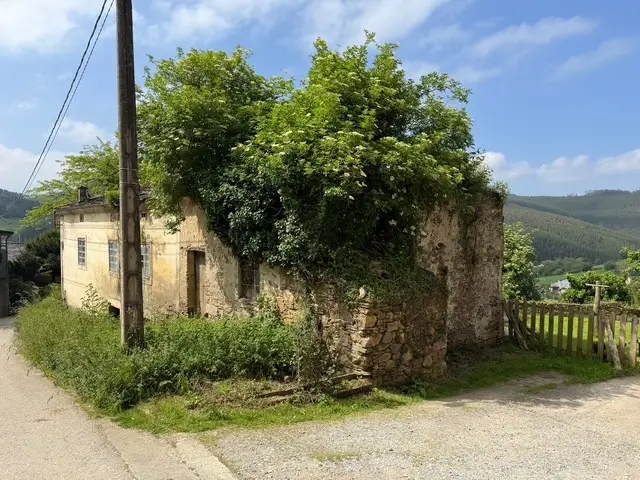 Casa de piedra con finca (ref: 248)