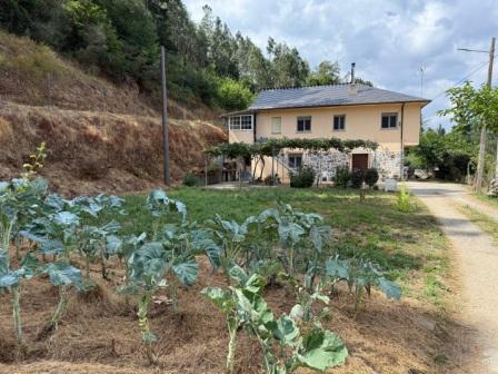 Precioso chalet con 2 viviendas (ref: 250)