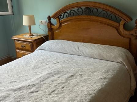 Precioso chalet con 2 viviendas (ref: 250)