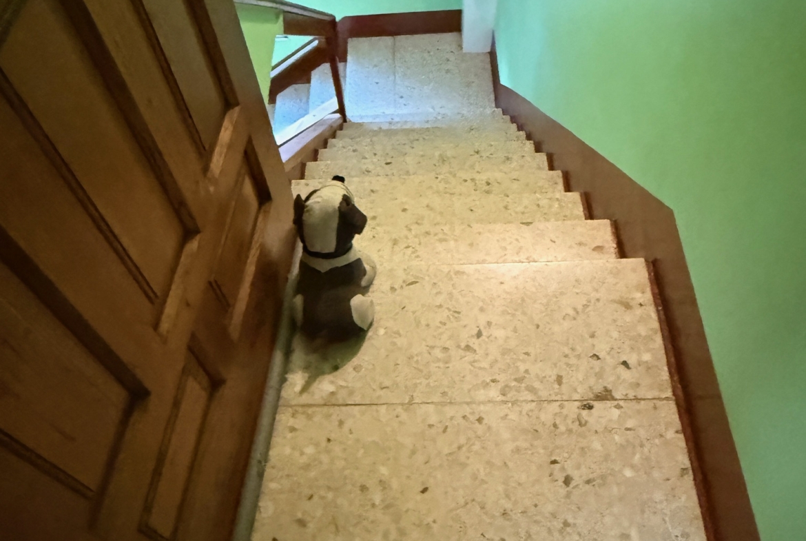 Precioso chalet con 2 viviendas (ref: 250)