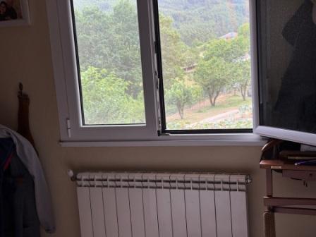 Precioso chalet con 2 viviendas (ref: 250)