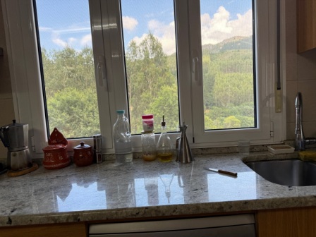 Precioso chalet con 2 viviendas (ref: 250)
