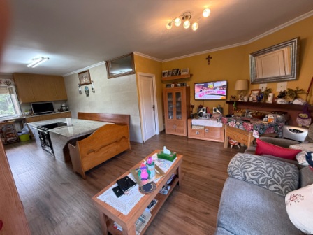 Precioso chalet con 2 viviendas (ref: 250)