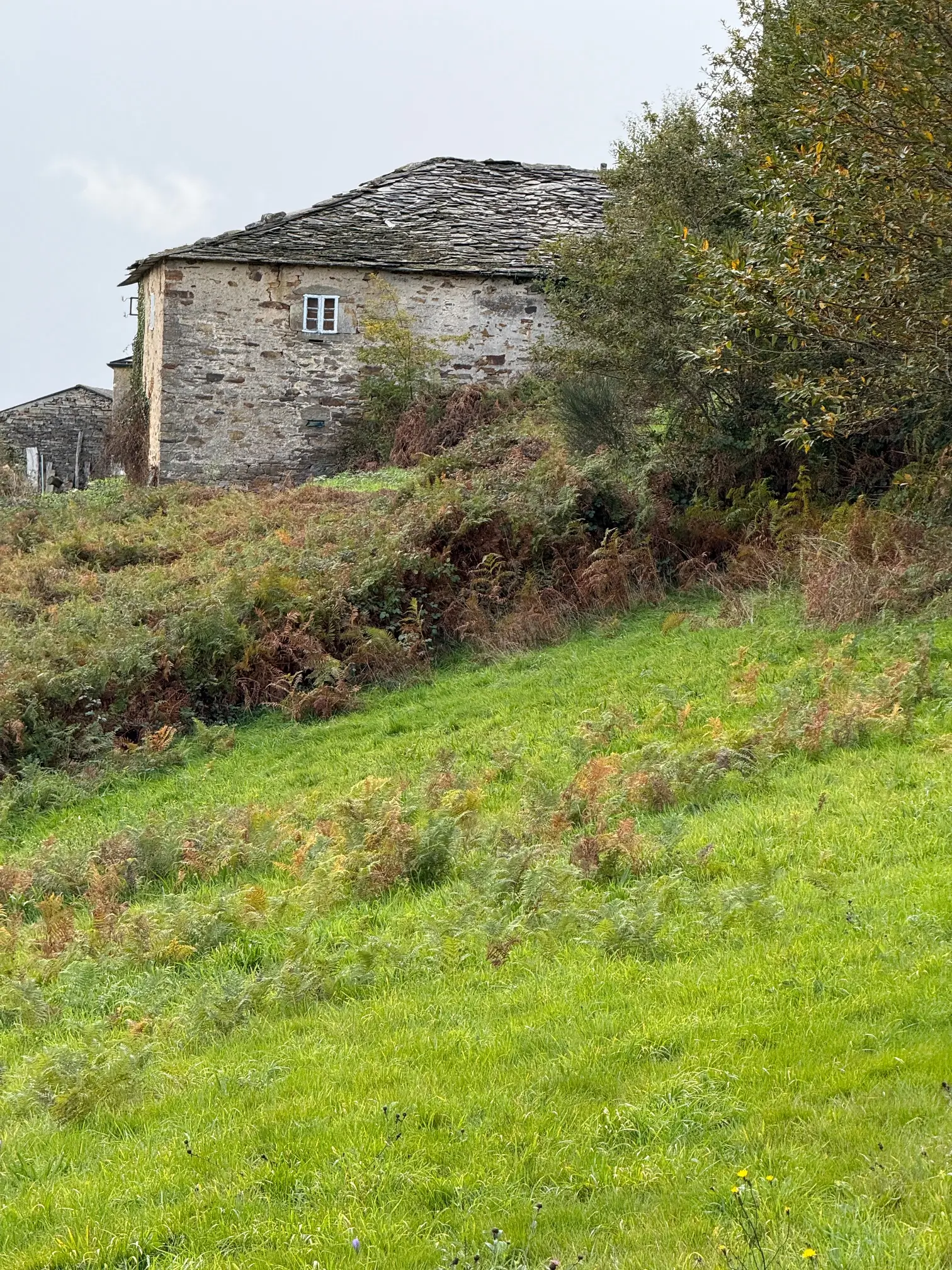 Casa de piedra en Fonsagrada (ref: 254)