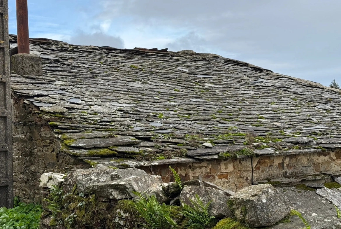 Casa de piedra en Fonsagrada (ref: 254)