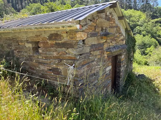 Casa de piedra con finca 7.000 m2 (Oportunidad)