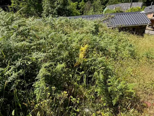 Casa de piedra con finca 7.000 m2 (Oportunidad)