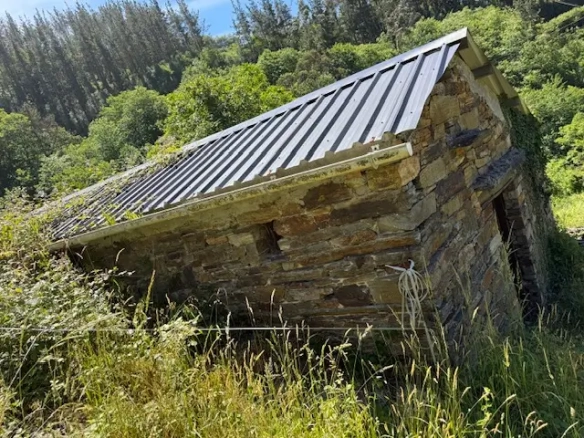 Casa de piedra con finca 7.000 m2 (Oportunidad)