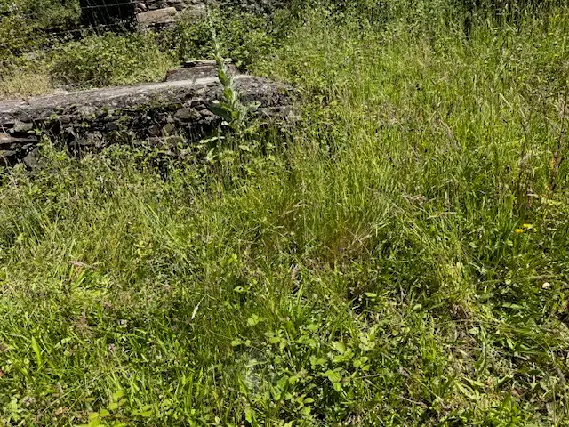 Casa de piedra con finca 7.000 m2 (Oportunidad)