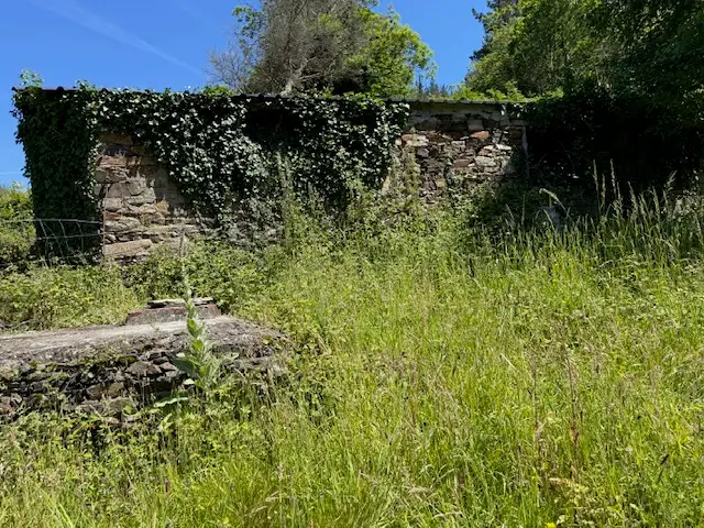 Casa de piedra con finca 7.000 m2 (Oportunidad)
